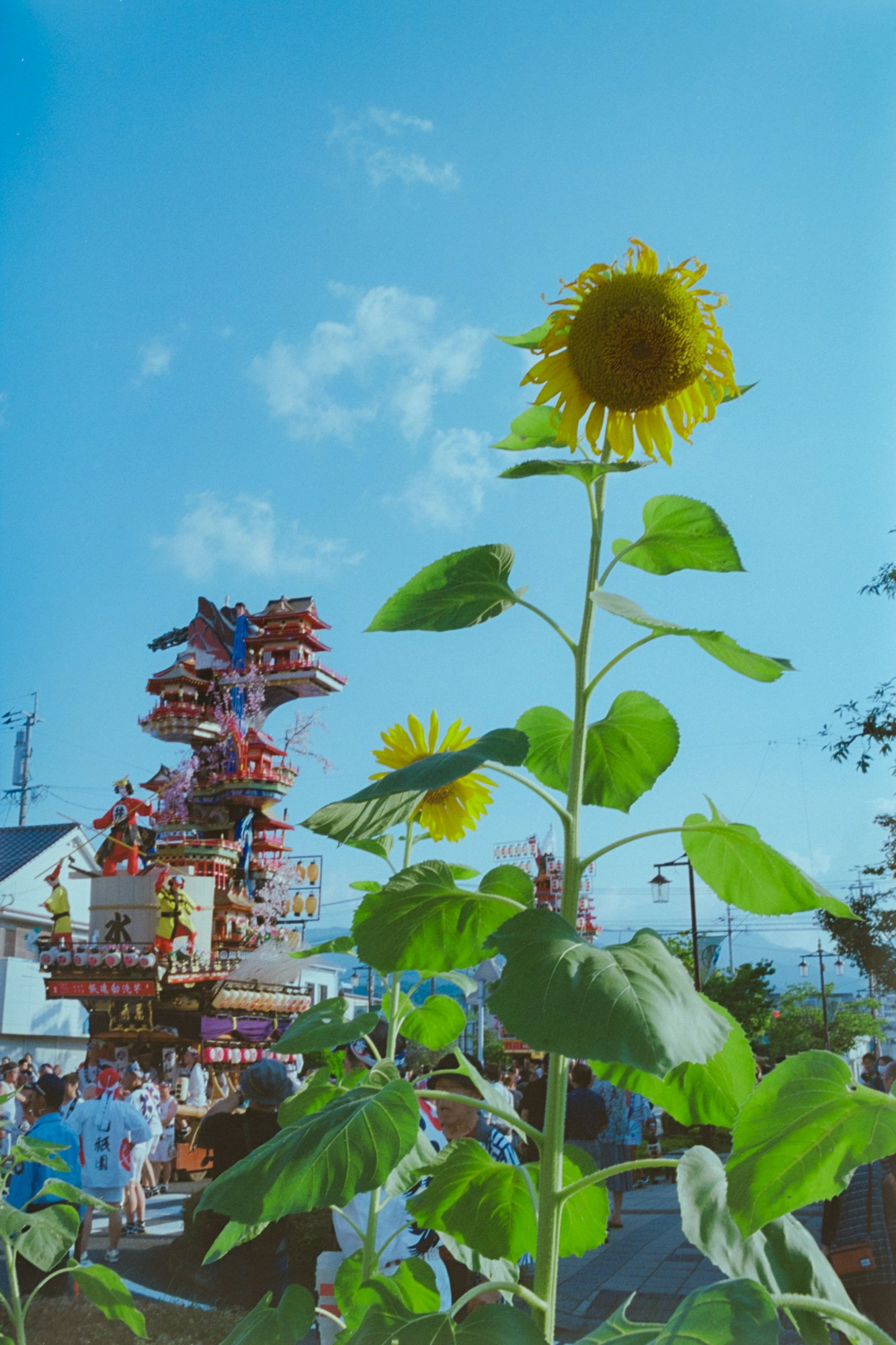 Taisei Matsumoto, 2023 exhibition view 02