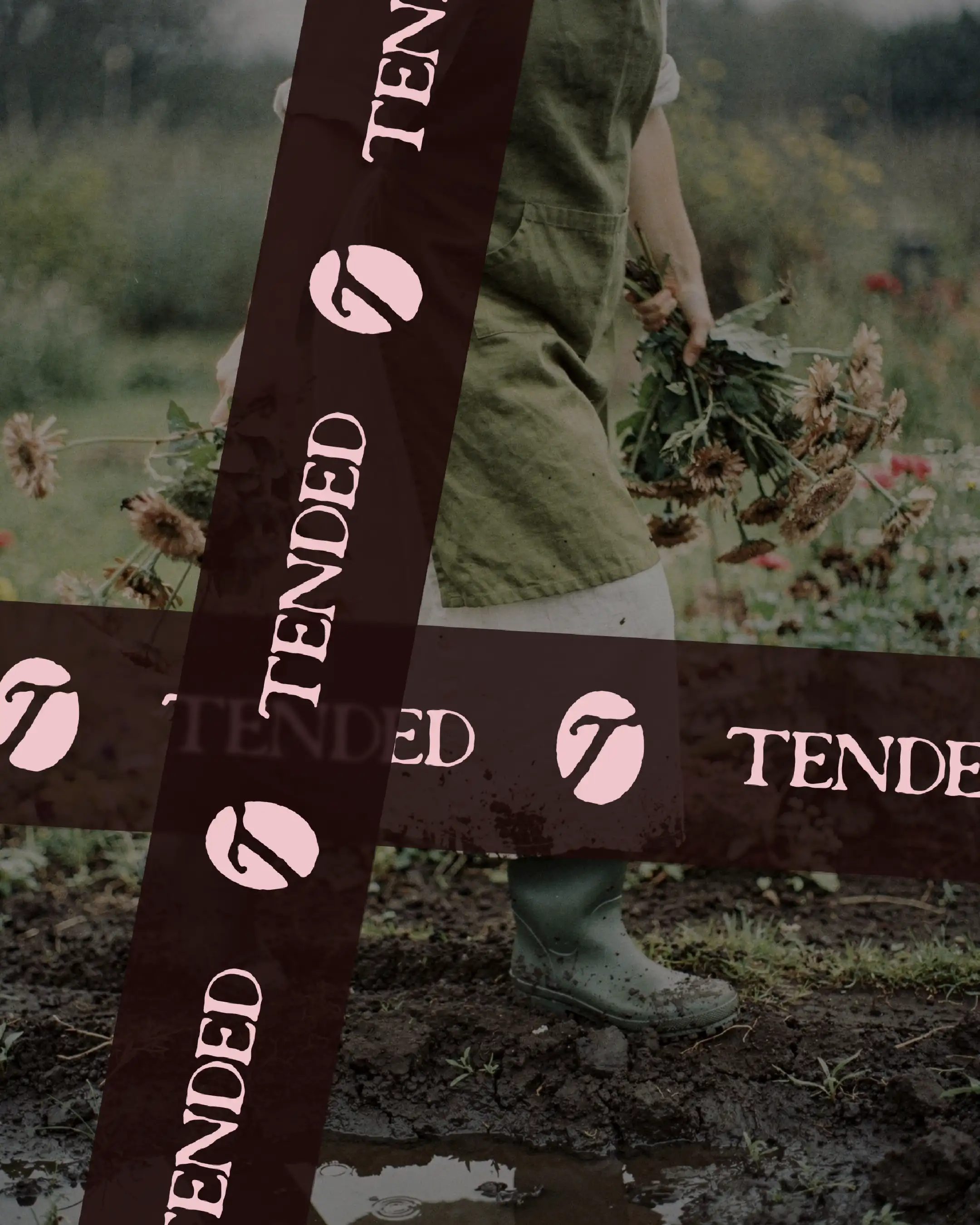 Tended brand identity — dark burgundy ribbon with repeated Tended wordmark and T logomark