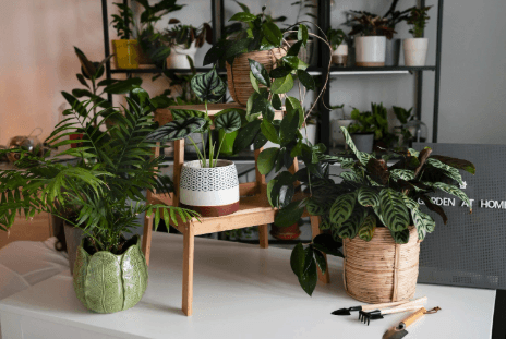 worker on laboratorium