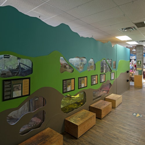 室內展覽，設有牆壁安裝的展示櫃，展示不同的生境。前面有長椅可供坐下。天花板燈光照亮該區域。