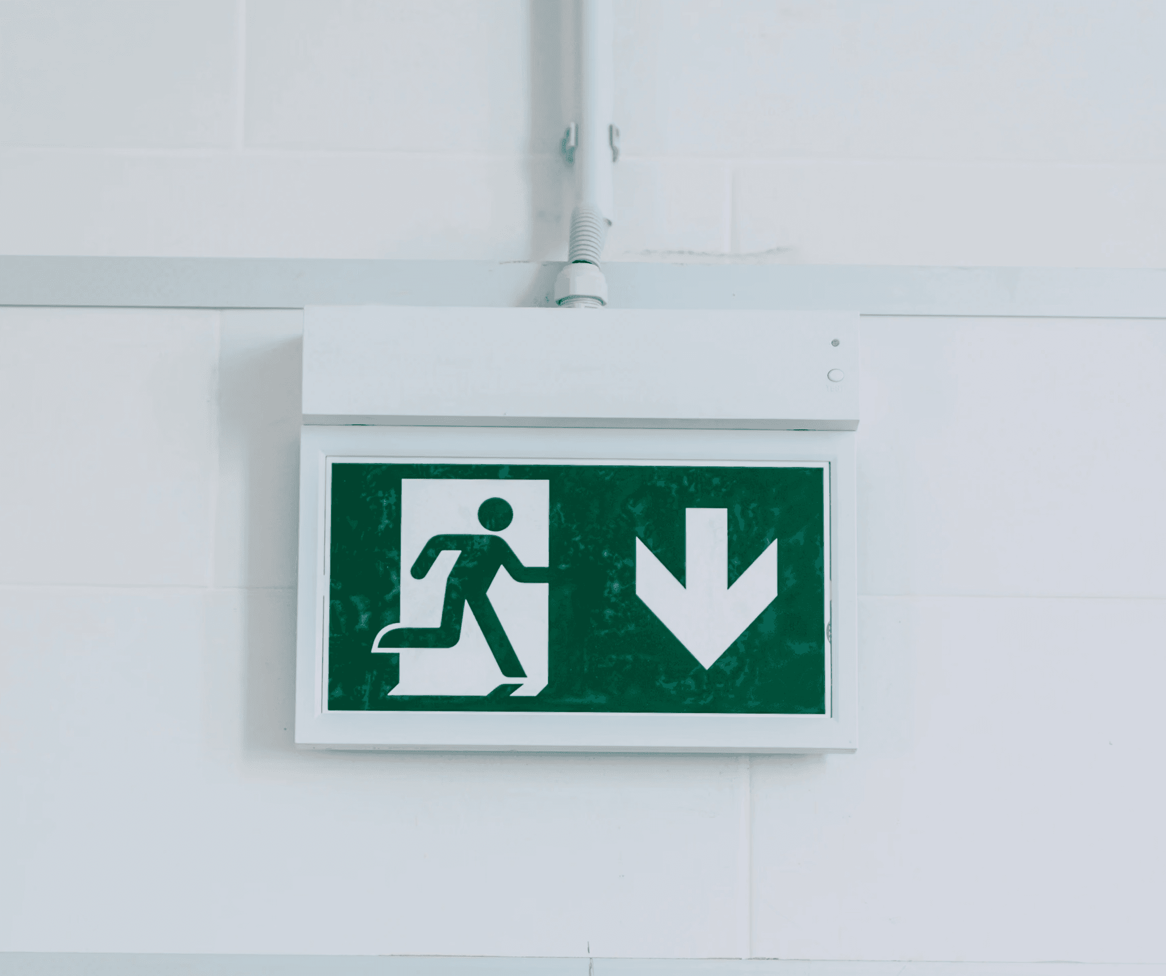 the idea behind bizbuyer