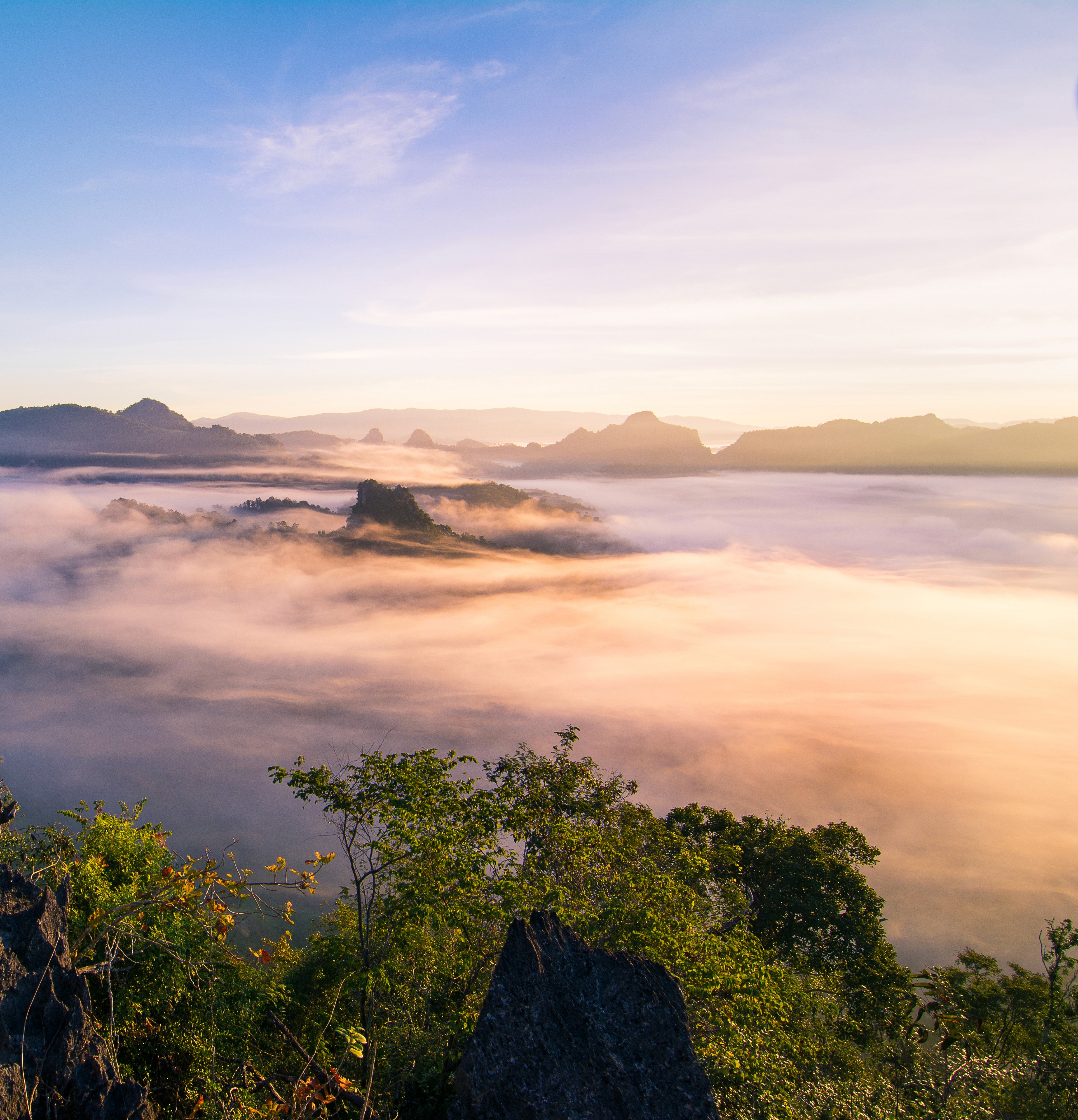 SBTi net-zero consultation closes 12 December