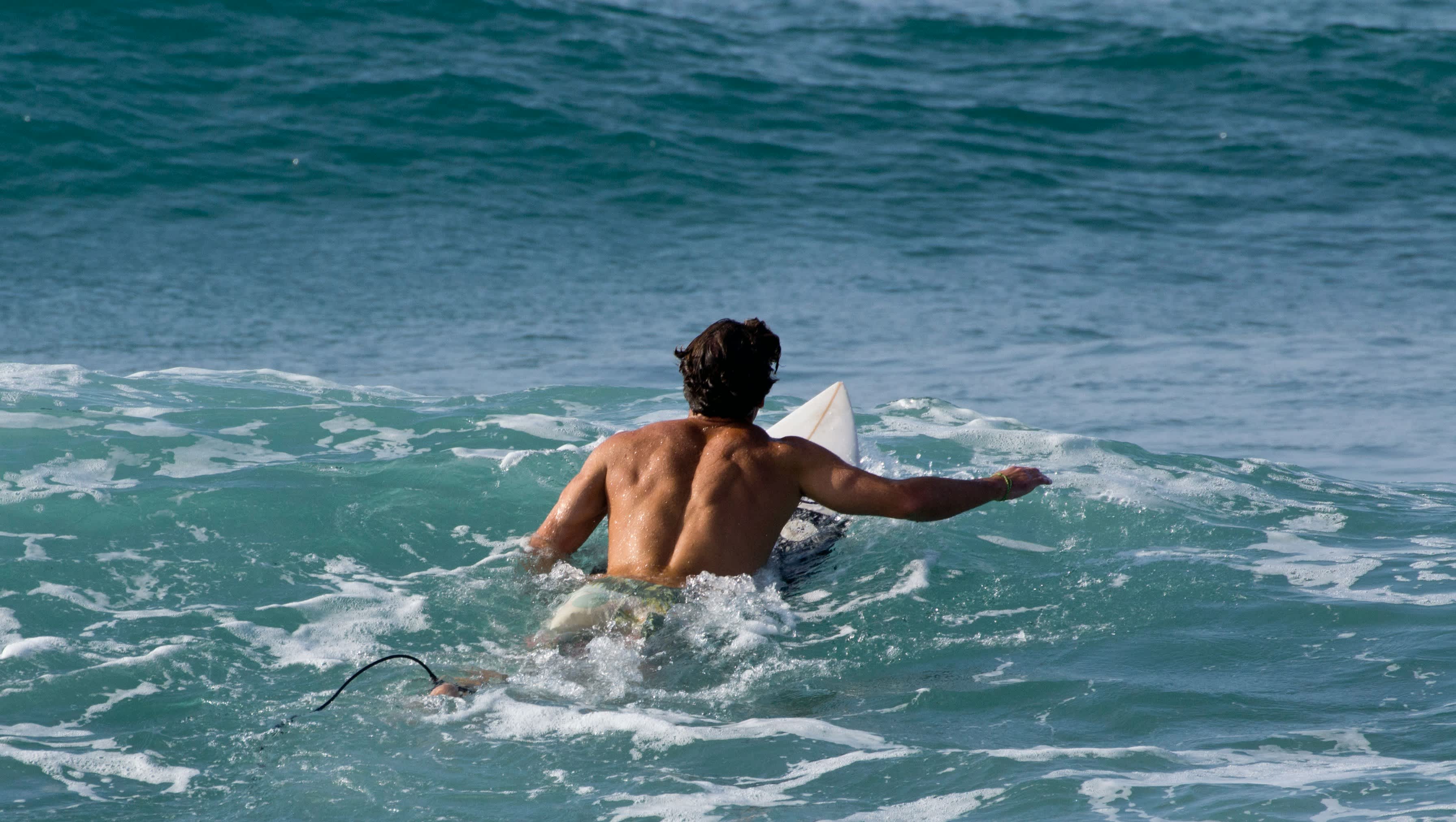 Surfer paddling into the ocean with a surfboard as waves roll in under bright daylight.