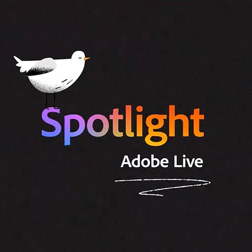 Adobe Spotlight