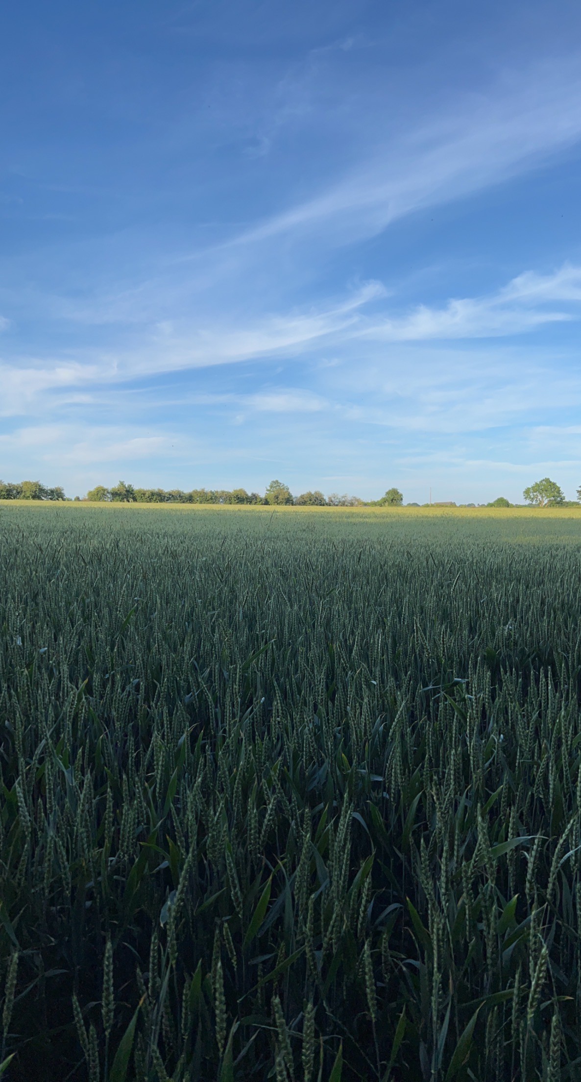 A smiling young man with crossed arms, wearing a plaid shirt and white t-shirt, poses against a dark background.