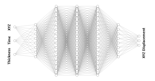 Typical architecture of a Neural Field Network