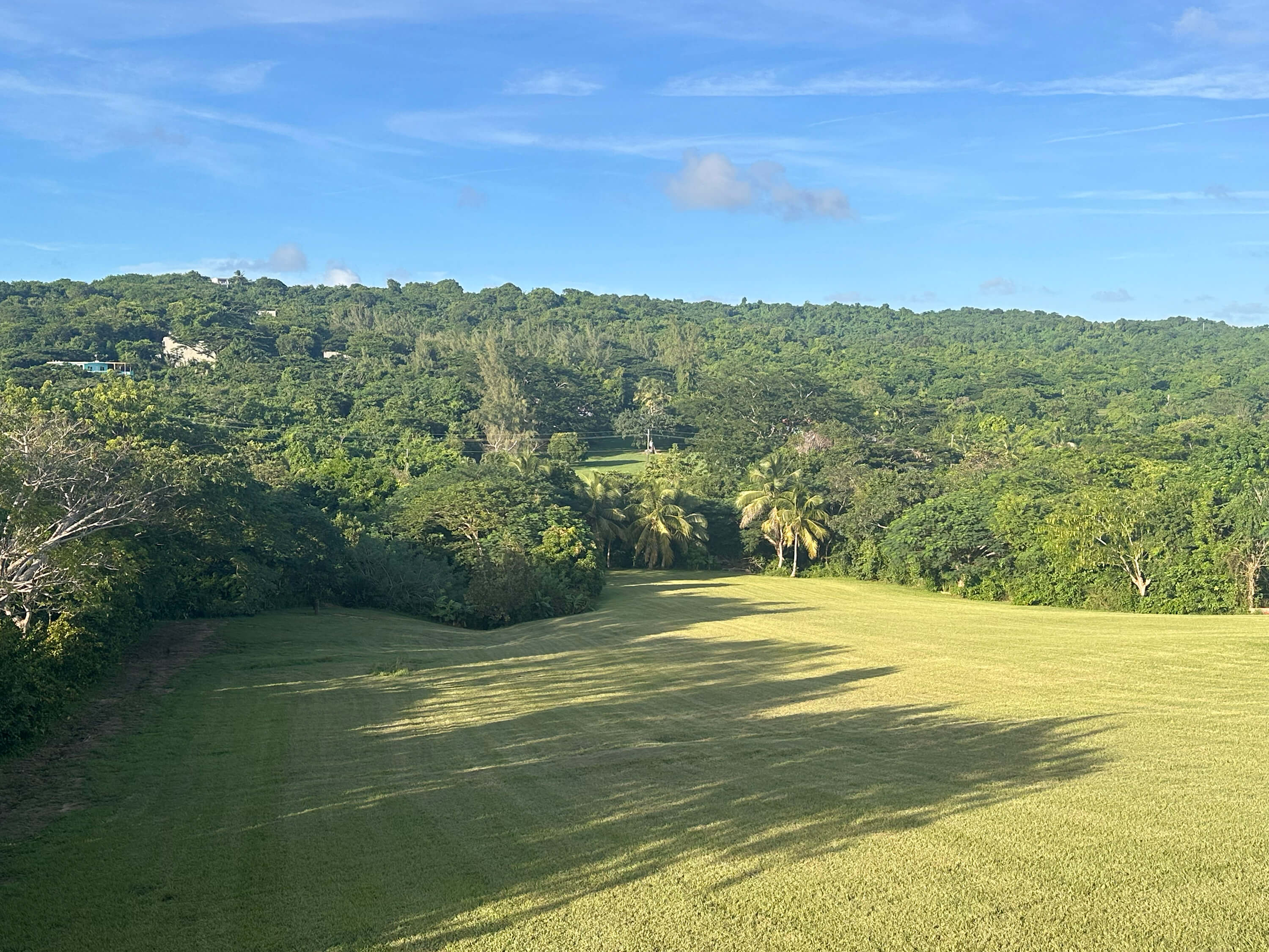 View from the terrace of Room 2 at Club Vieques, showcasing lush greenery and tropical hills surrounding the resort.