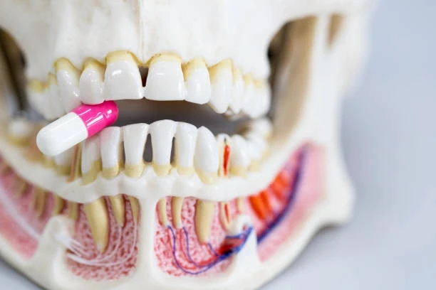 dental infection antibiotics