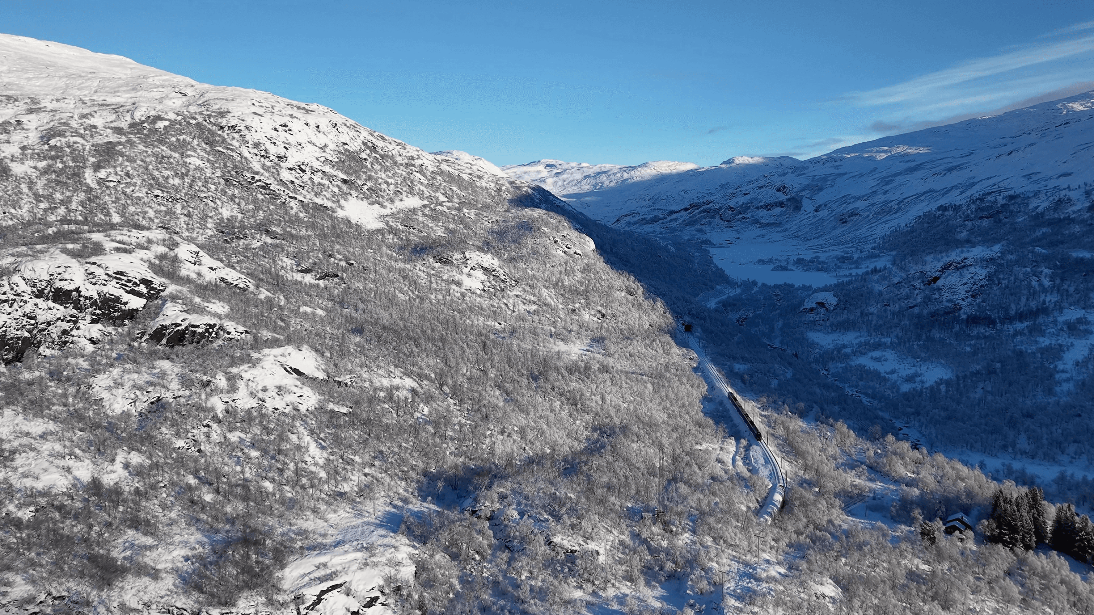 Arctic Coliving Voss train