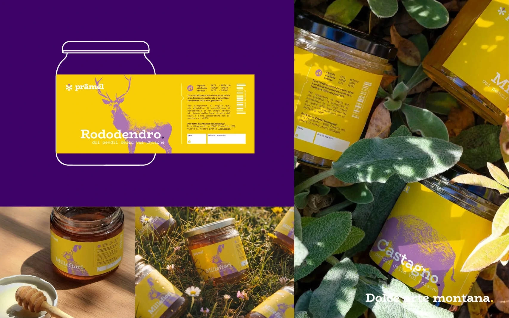 Collage of brand element