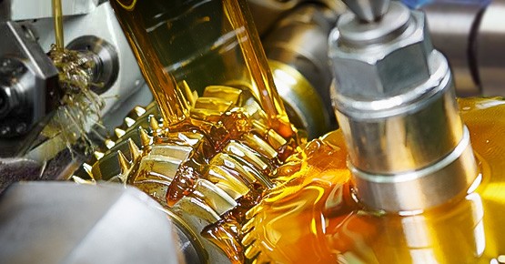 Team member discussing