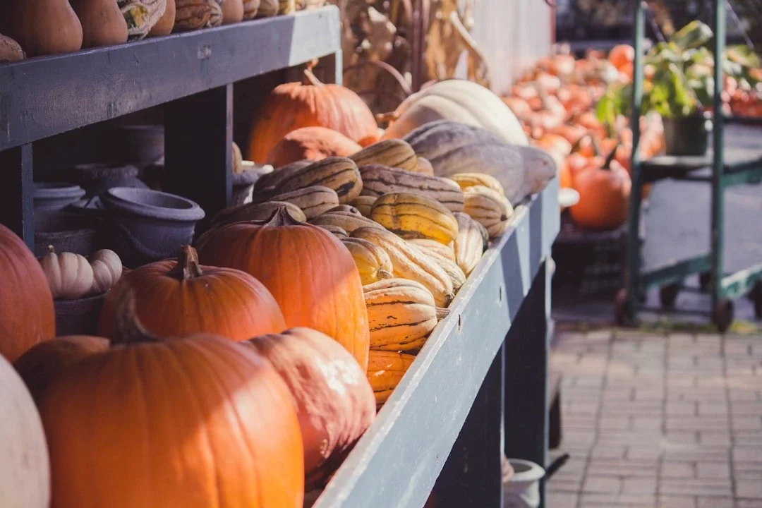 Farm Shop Loyalty Rewards Worth Coming Back For