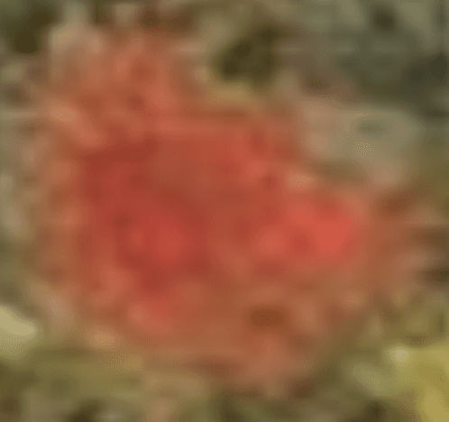 Close view of a painting
