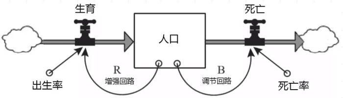 人口动态模型示意图