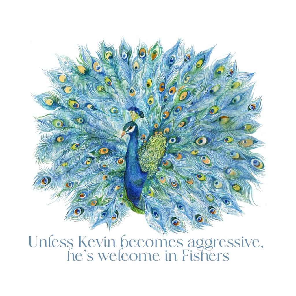 An image of Kevin the Peacock police post