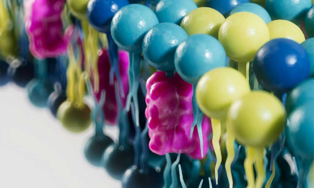 Weitwinkelansicht der molekularen 3D-Visualisierung mit gelbgrünen und blauen Strukturelementen auf hellem Hintergrund