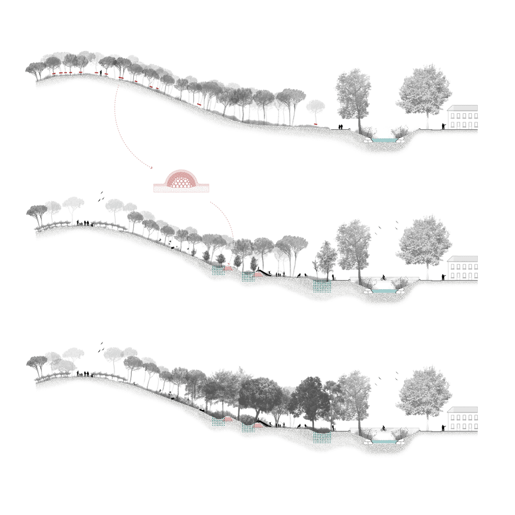 Secciones de gestión y evolución de la propuesta. Poda selectiva de pinos, plantaciones de especies agrícolas leñosas, formación de bermas de retención Hugelkultur y plantaciones de frondosas