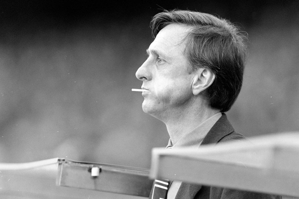 Silhouetted agapanthus flowers against a gradient sky.