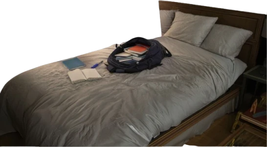 A bed in which arjun kept his books