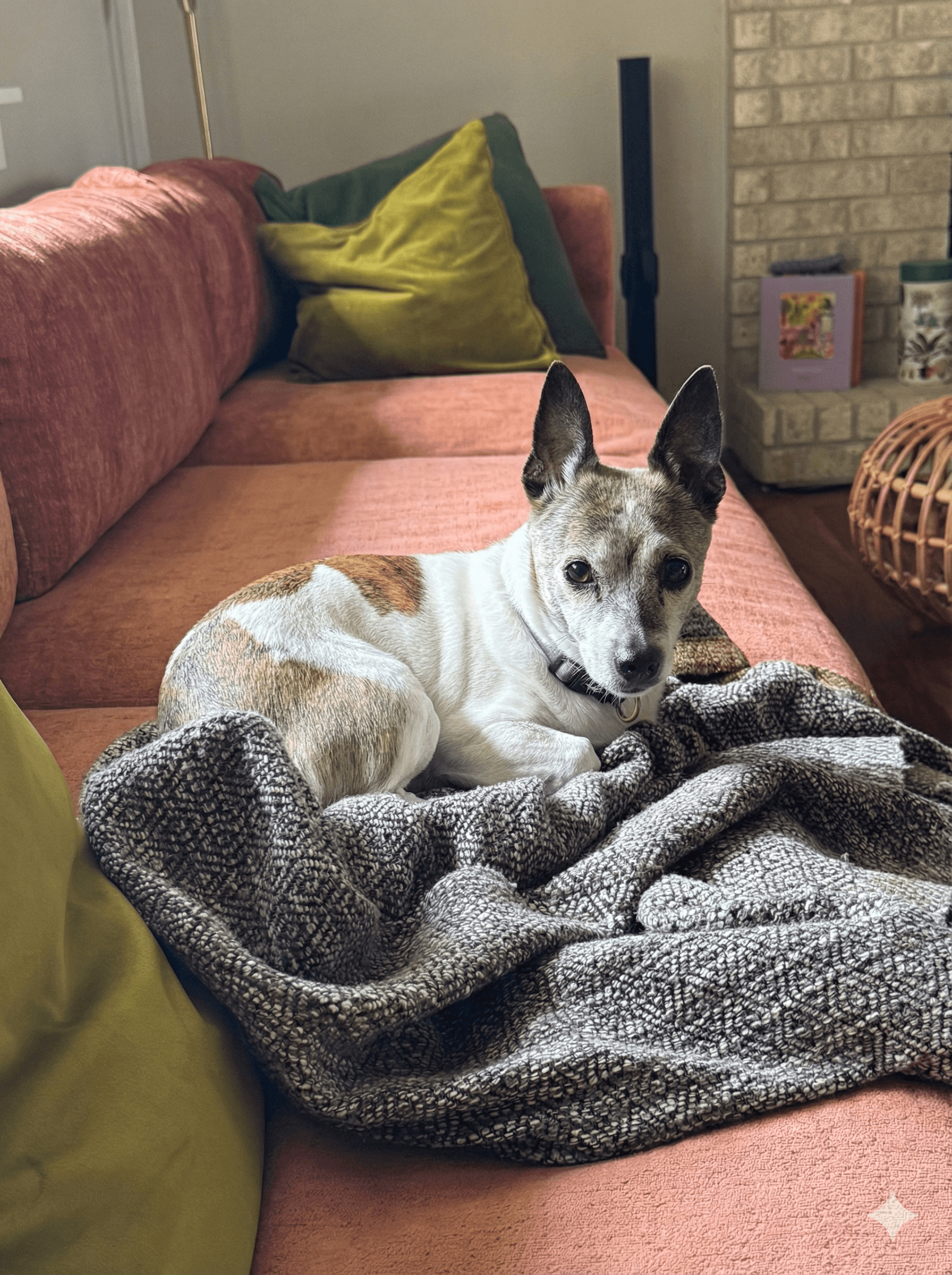 The image featured at the top of the about us page #2