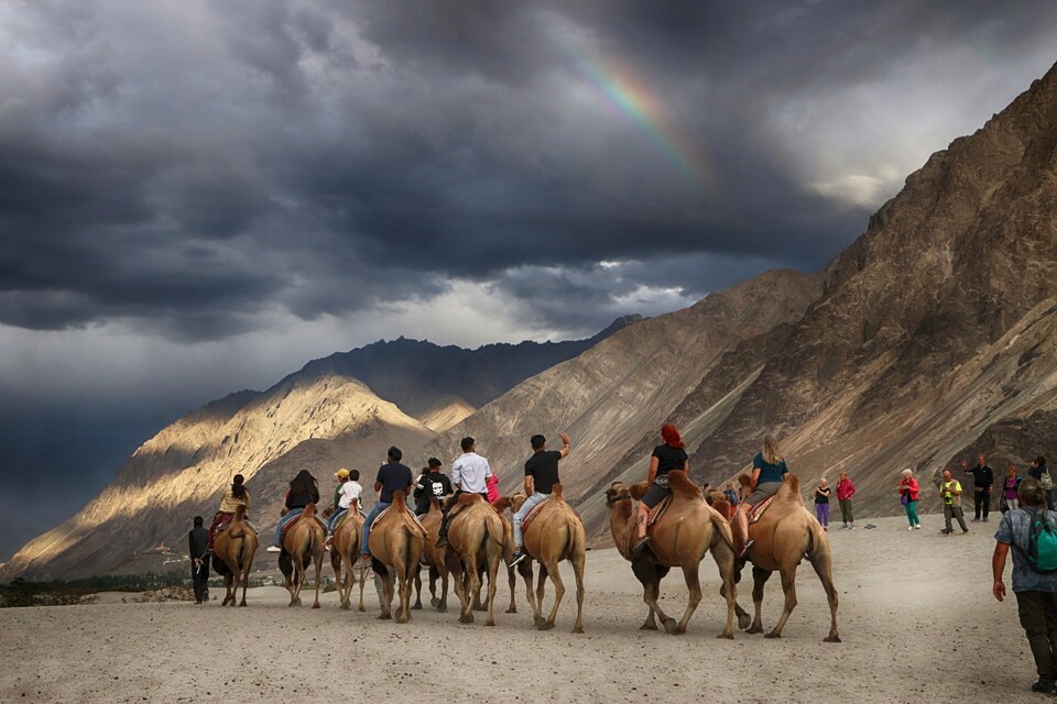 Camel ride in Nubra Valley Ladakh