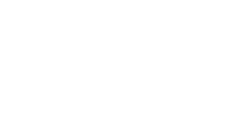 Figment Capital Logo