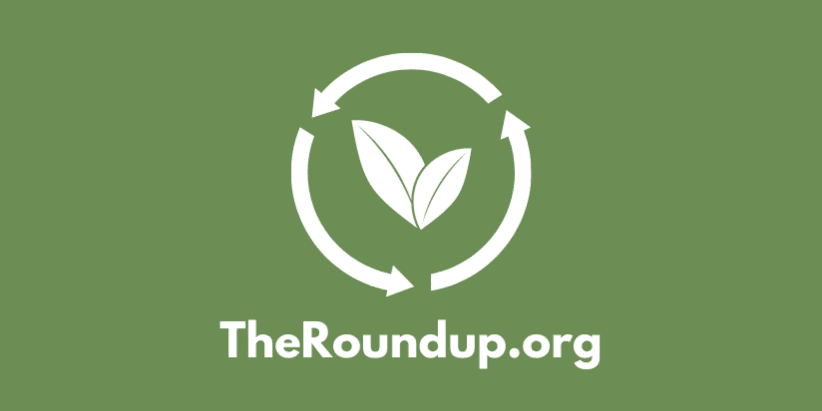 James Miller, founder of TheRoundup, offering honest, hands-on reviews of eco-friendly products to empower sustainable consumer choices.