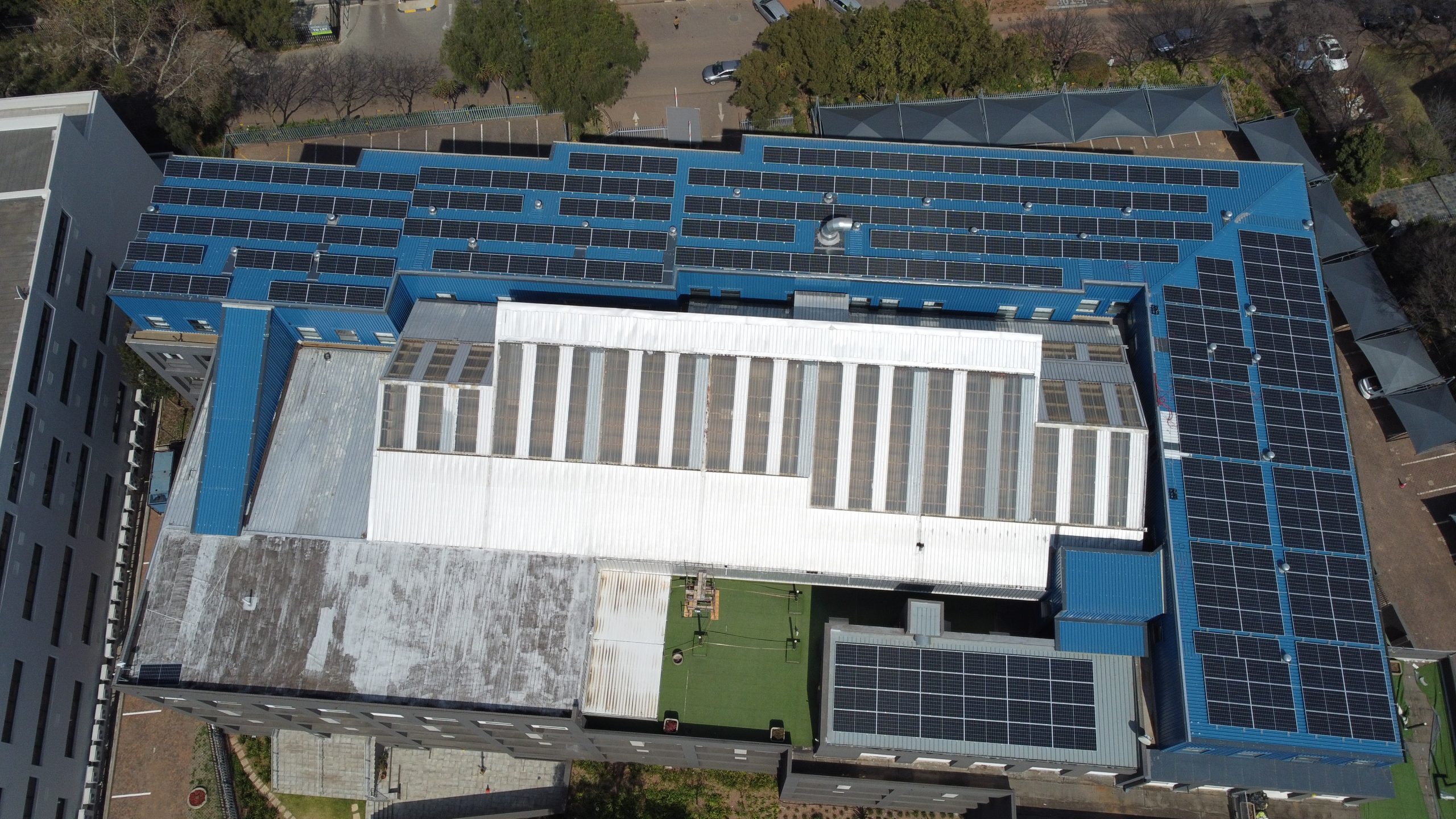 Scientist in laboratorium