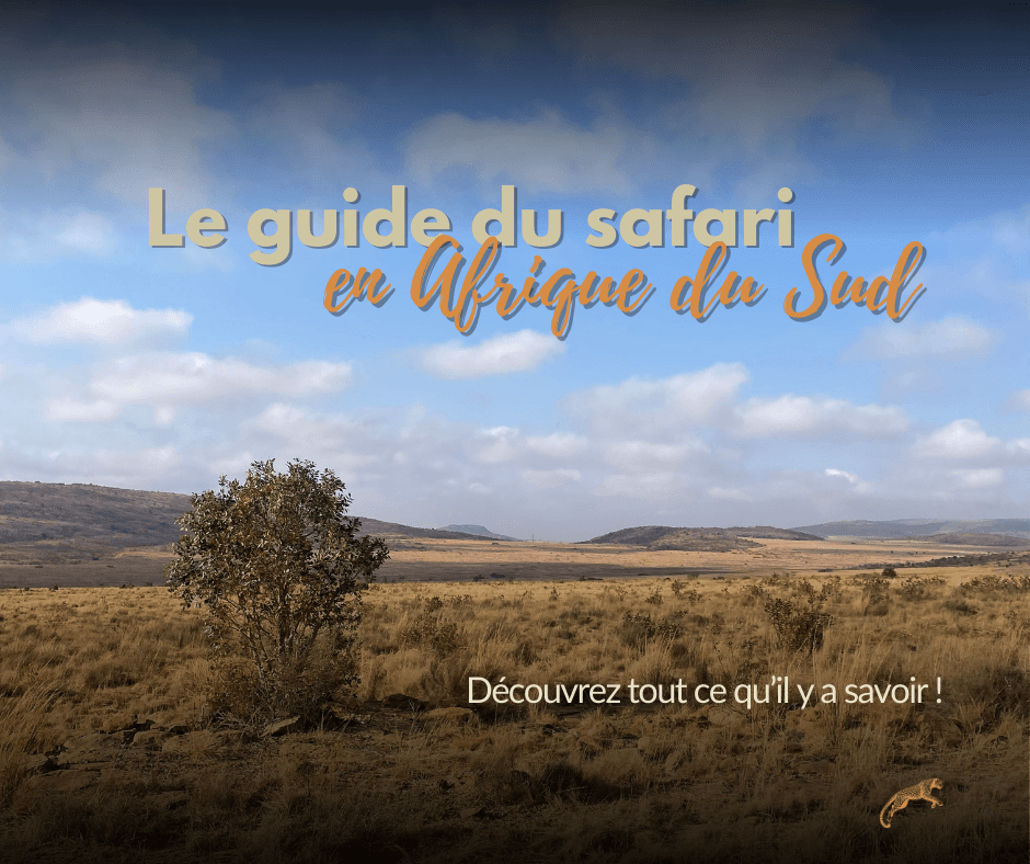 paysage savane afrique du sud