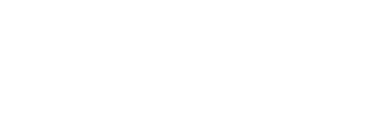 WordPress logo