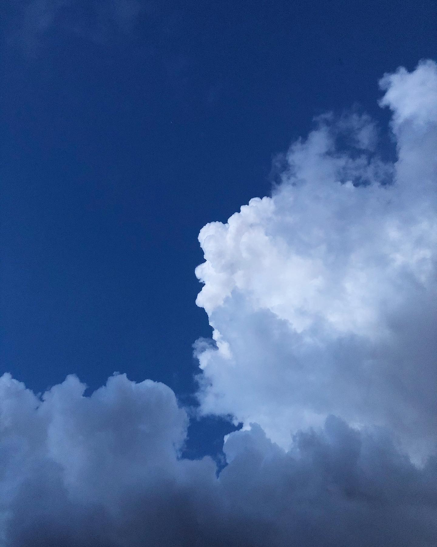 Creative portrait with geometric pink eyewear and bold fashion styling in urban setting