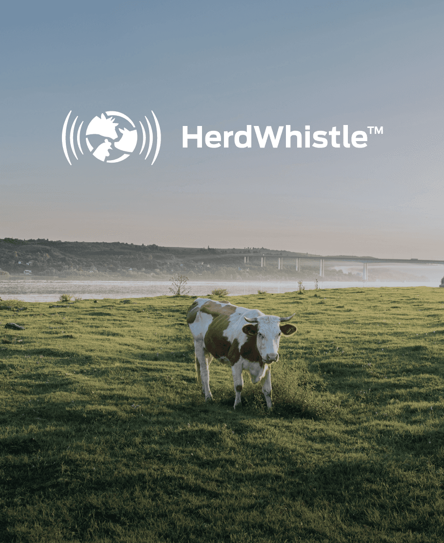 A pastoral landscape with company logoon it