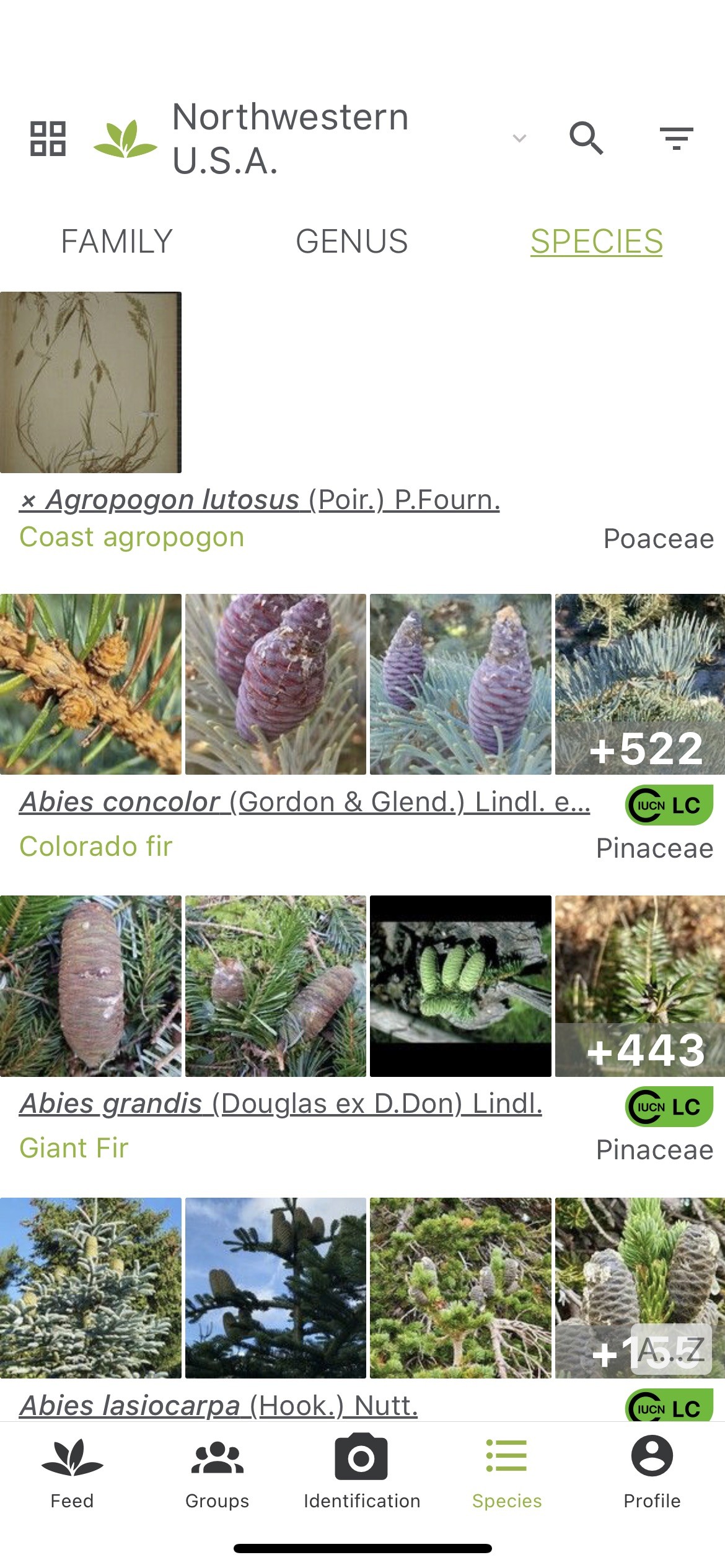 plantnet screenshot: list of species in northwestern USA