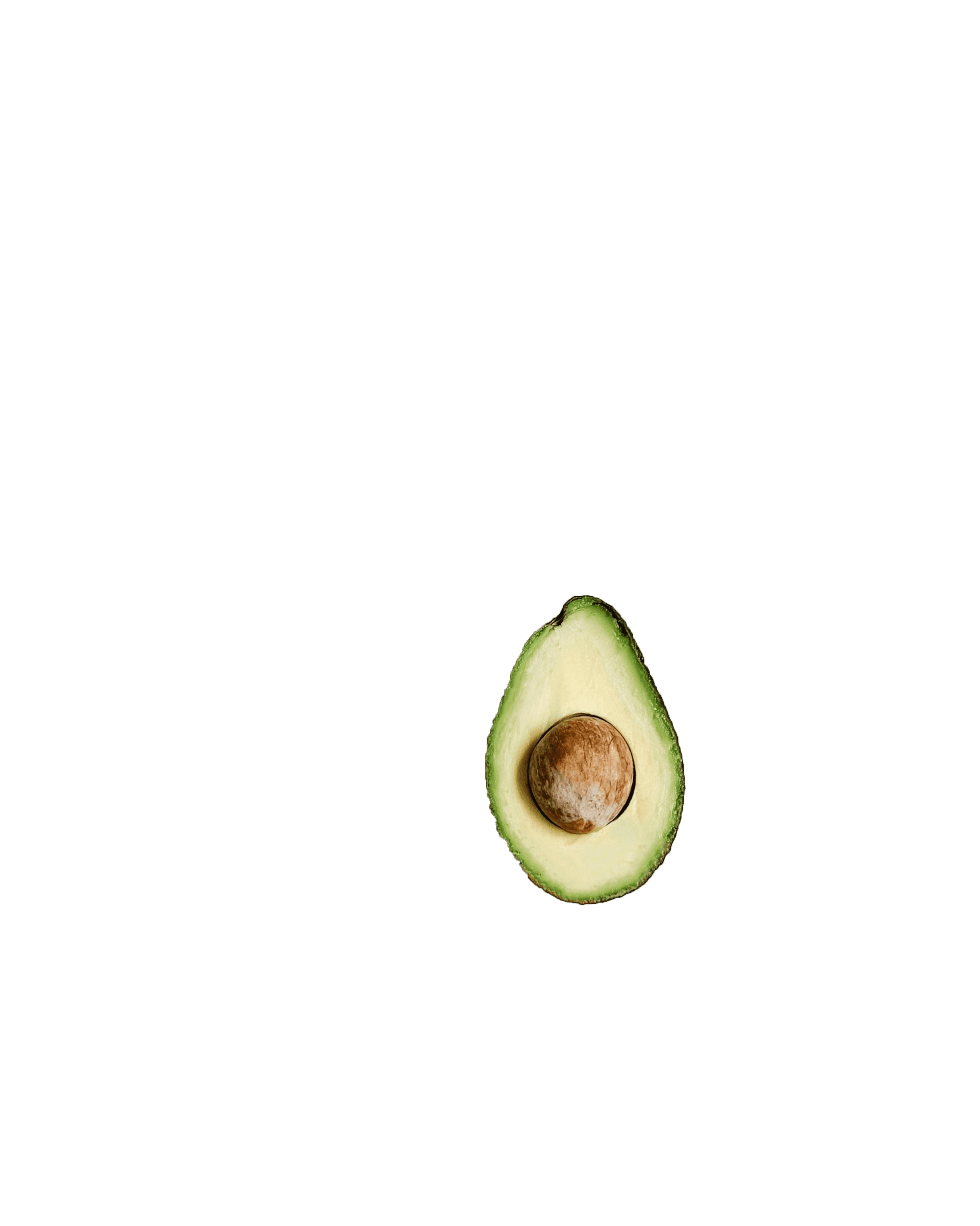 Features Nourish App