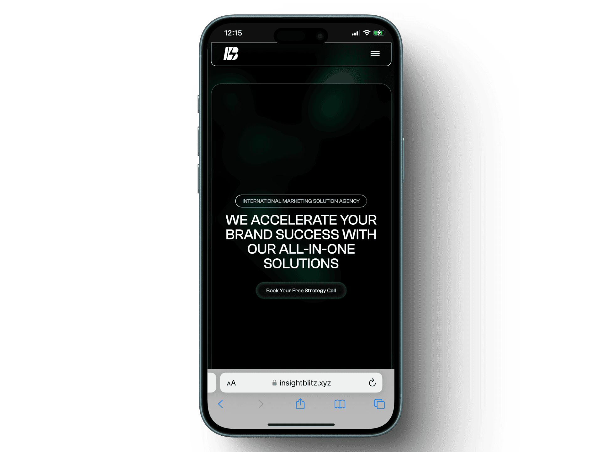 insightblitz-data-analytics-web-design.png
