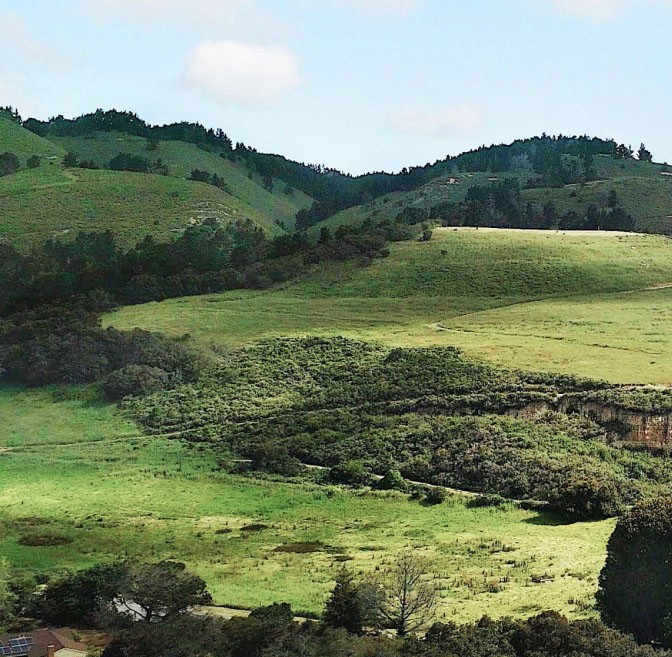 Man in apron stands in rustic kitchen, hands dusted with flour.