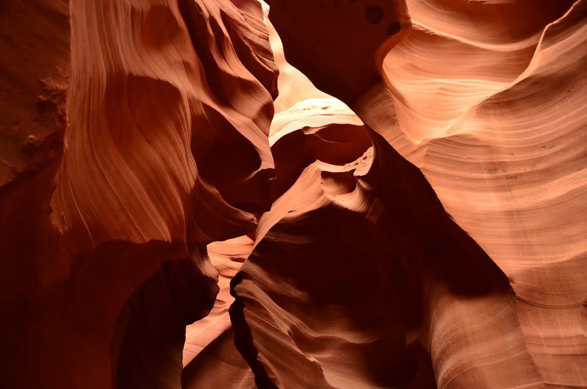 A stunning view of reddish-orange canyon walls, shaped by natural erosion and illuminated by soft light.