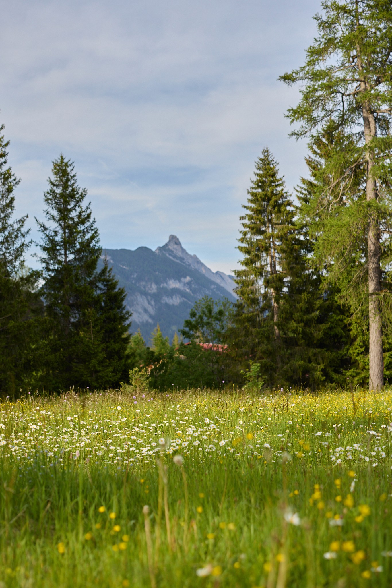 Yoga im Seminarraum | Marigold Tirol