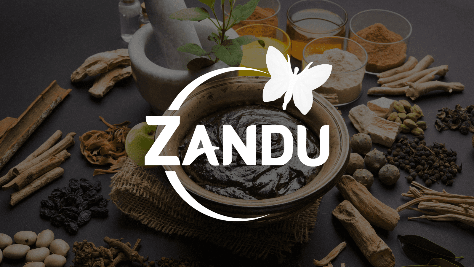 Zandu Care