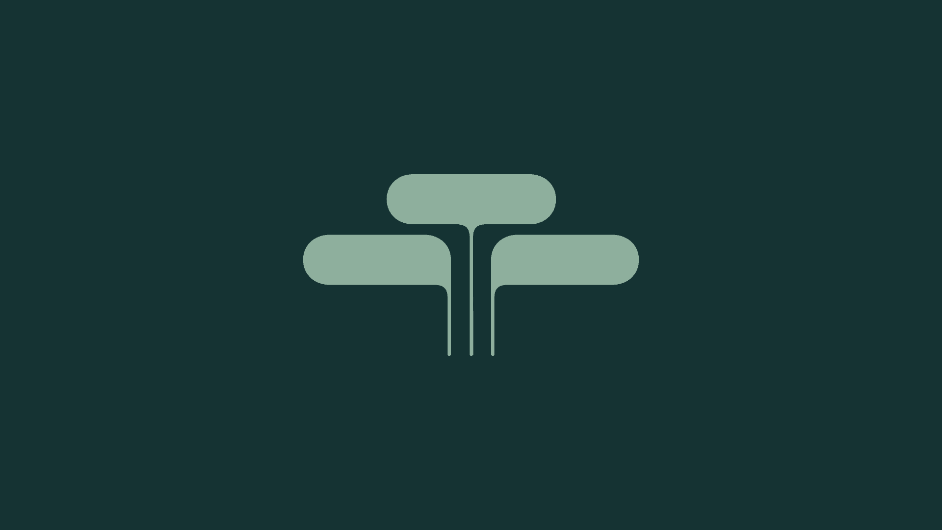 Seed to Forest Creative Studio branding and web design portfolio