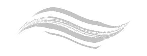 Bristled Dry Ink