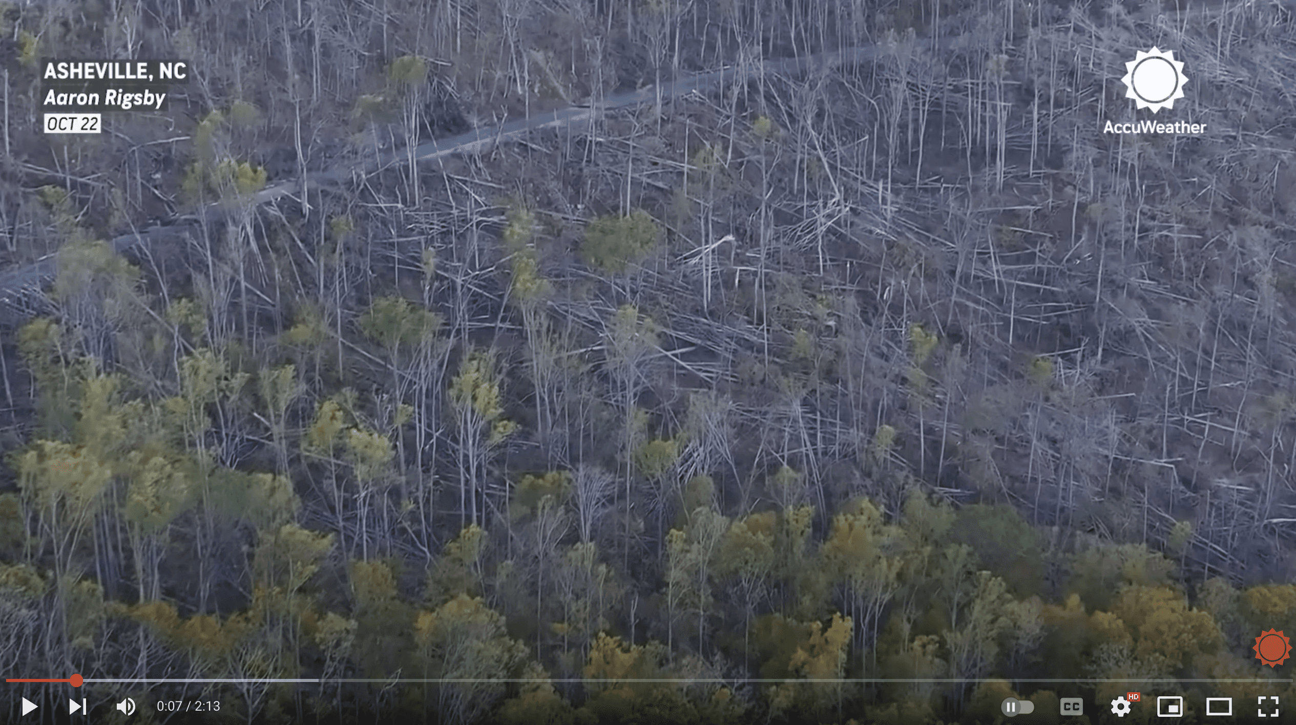 Asheville NC Forest Hurricane Helene