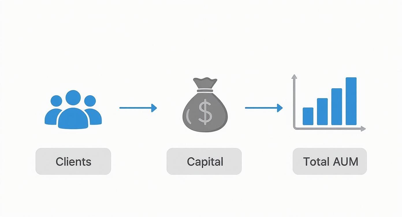 Infographic about what is asset under management