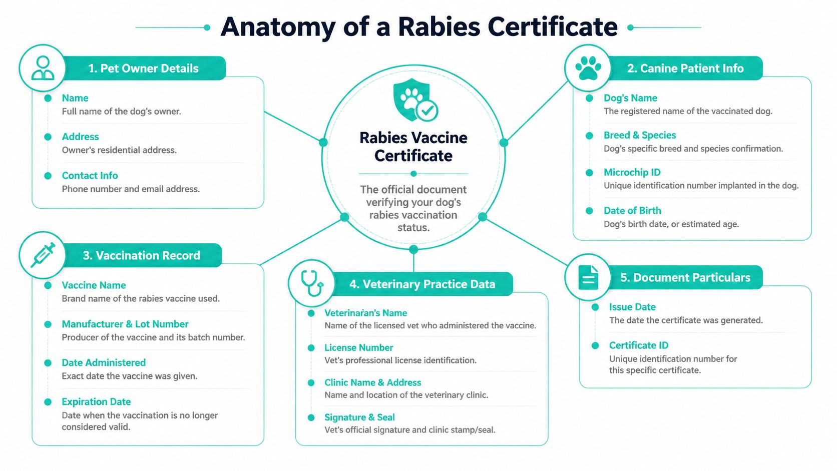 An infographic titled Anatomy of a Rabies Certificate, outlining the essential details required in a dog vaccination document.