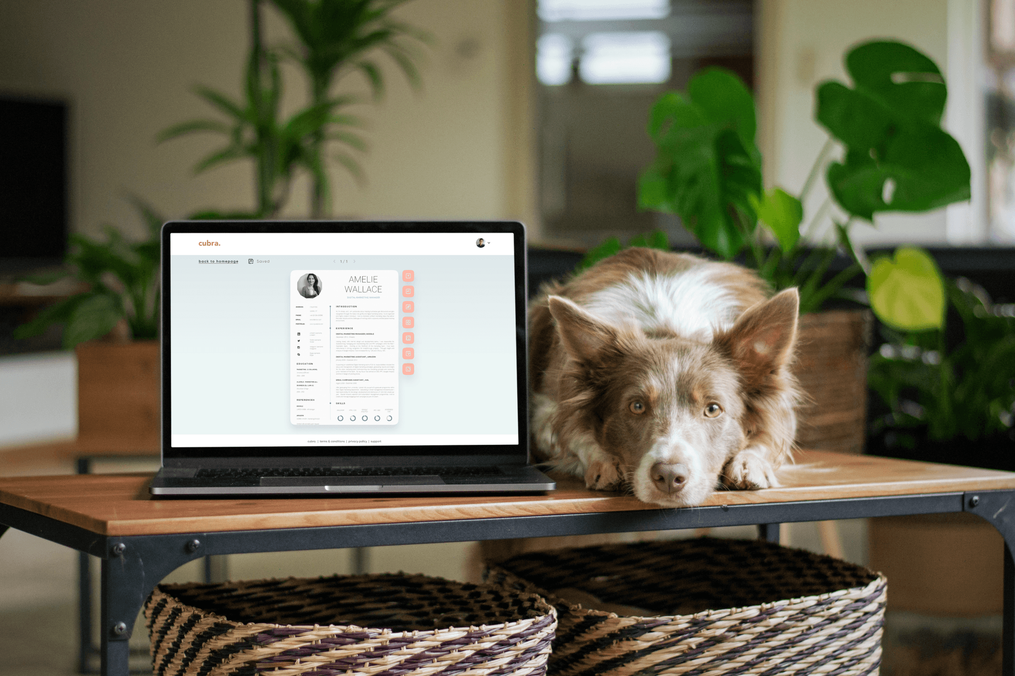 A mockup for a Macbook placed on a table for a website