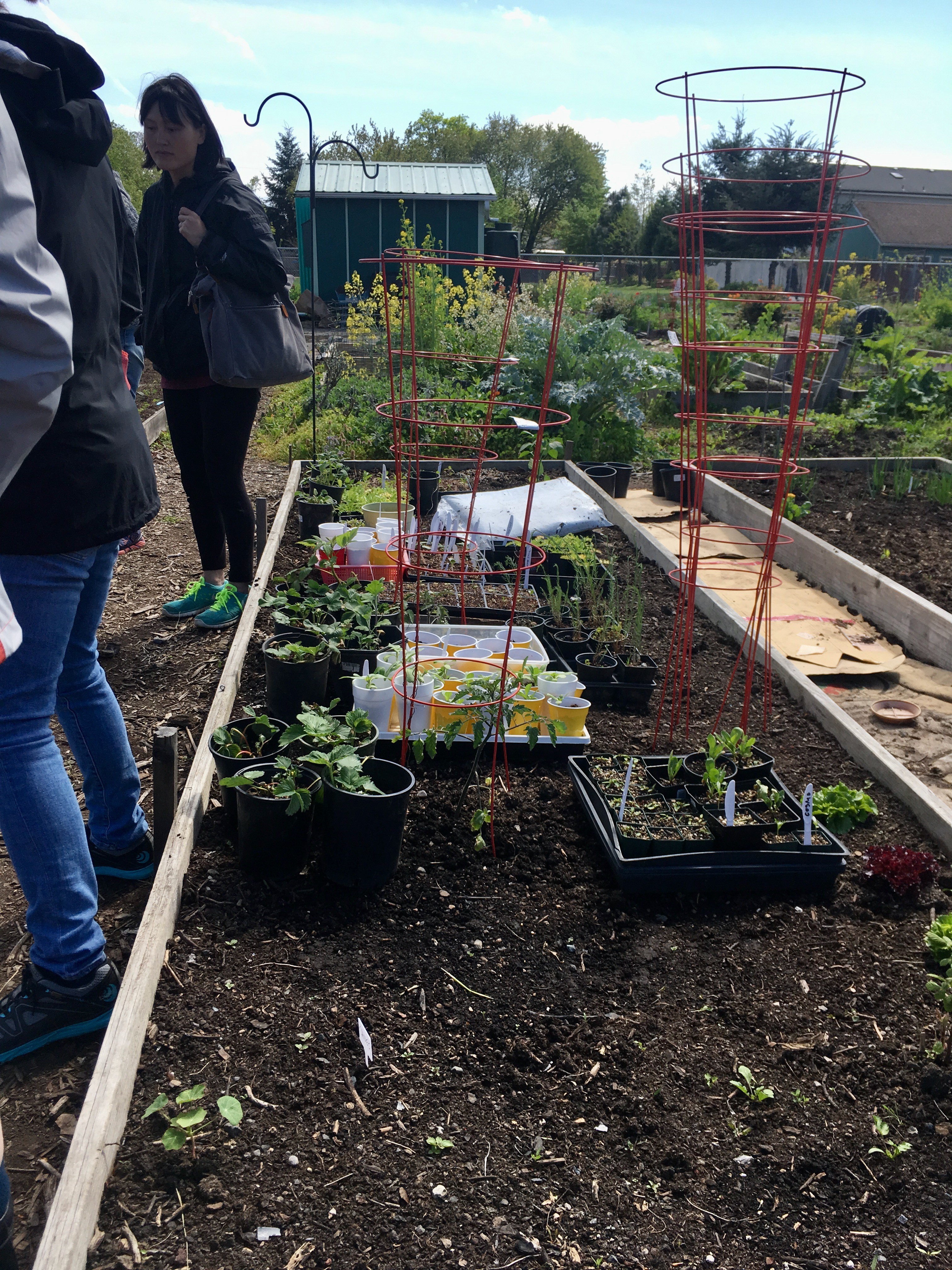 Community Gardens