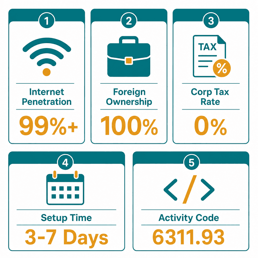 Infographic: How to Get a Electronic Directory Business License in Dubai