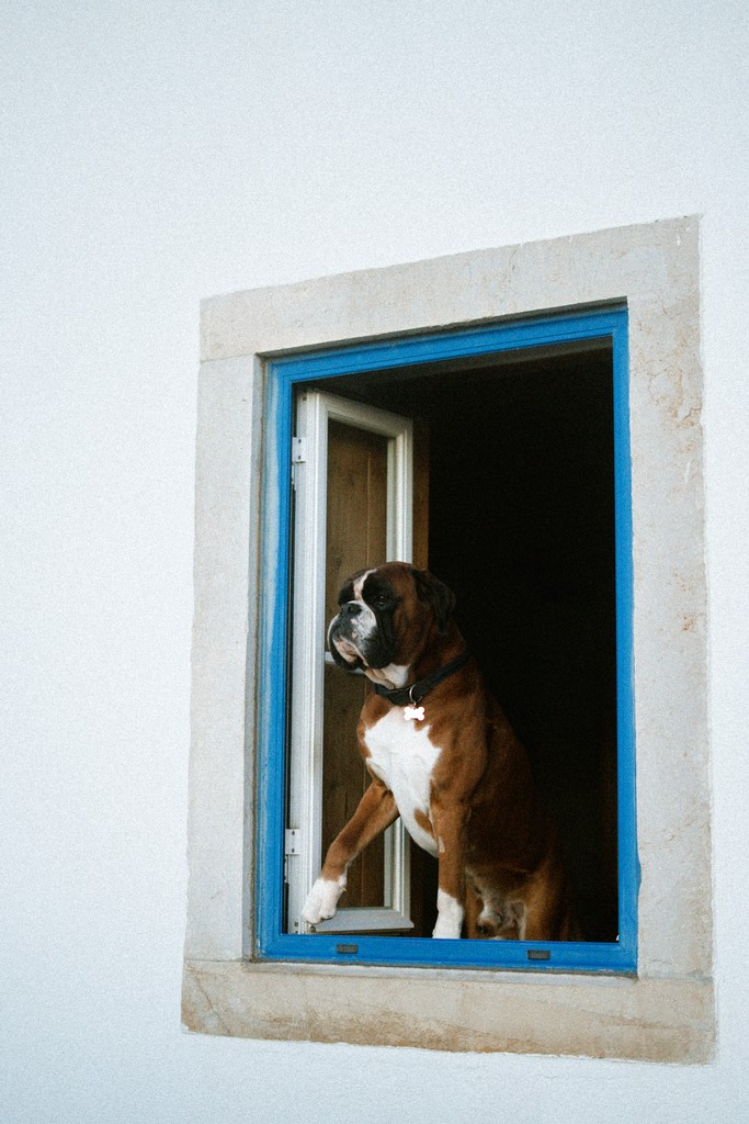 View through a Villa Flora window frame