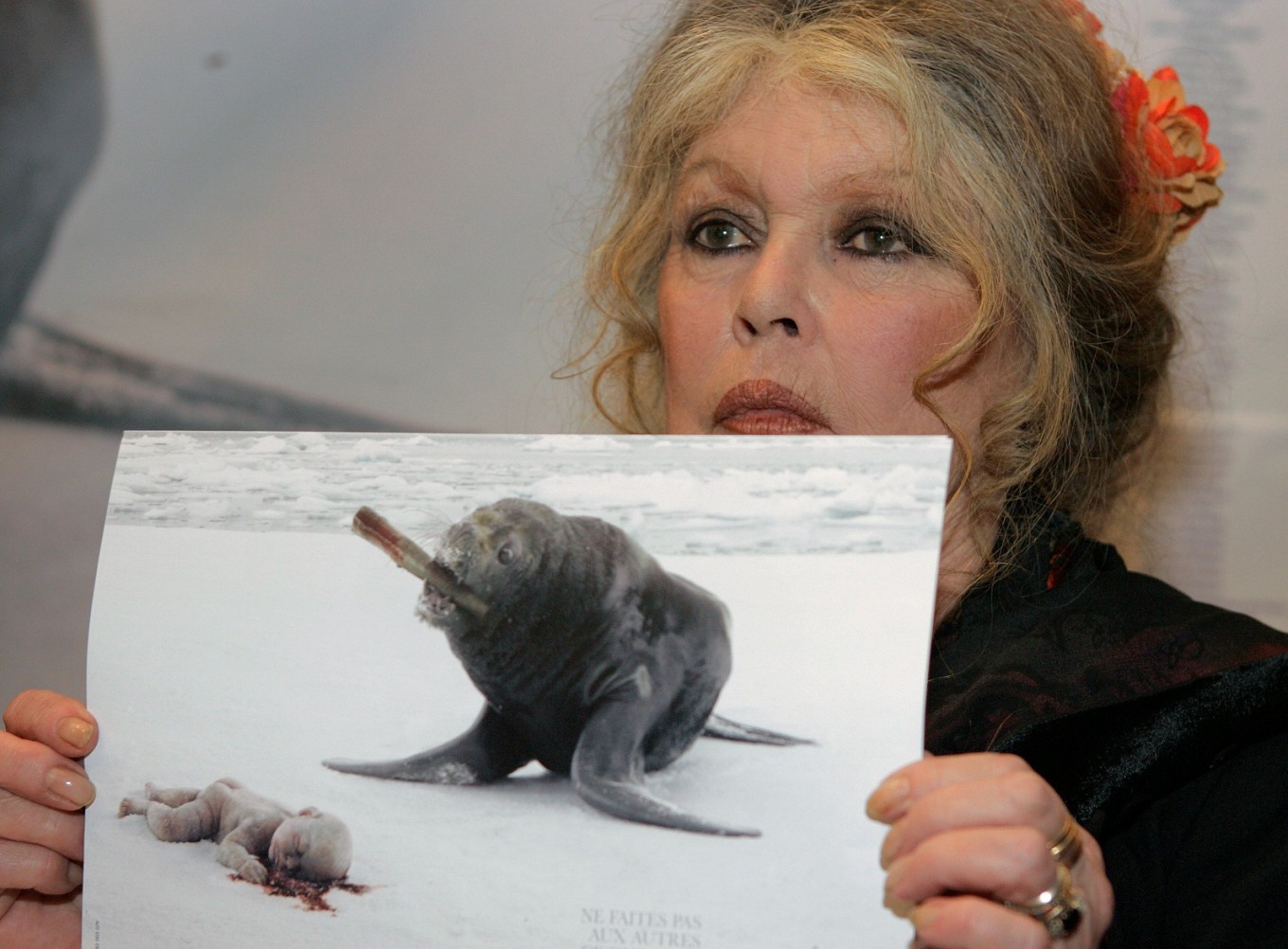 Brigitte Bardot seeks Christmas 'miracle' for animals - People ...