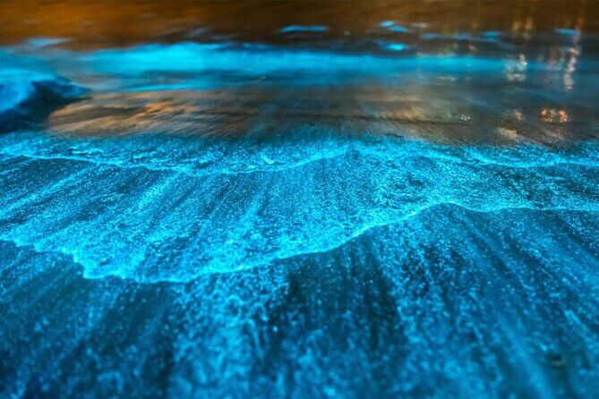 Bioluminescent waves glowing blue at night in the waters of Vieques, Puerto Rico, showcasing the island’s natural beauty.